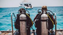 Shore Dives in Sharm El Sheikh Red Sea