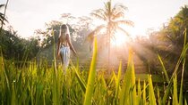 Ubud Waterfalls, Temple & Rice Terraces Private Tour