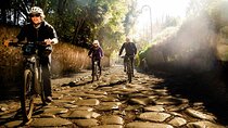 Appian Aqueducts eBike Tour (Catacombs & Brunch Option)