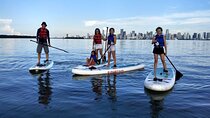 Miami Kayak and Paddleboard Rentals in Virginia Key