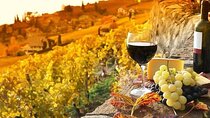 Chianti Private Tour with Dinner and Wine Tasting Experience