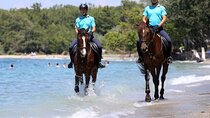 Horse Riding Tour in Antalya, on the Beach and in the Forest