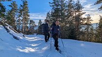 2 Day Hiking: Snow Shoes Trail