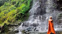 Best Of Bali Waterfall and Temple Tour 