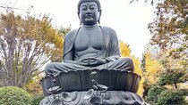 Walking tour, Tokyo Great Buddha, Botanical Garden, etc.