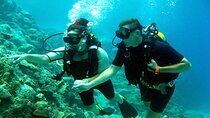 2-Day Tour from Luxor to Hurghada with Snorkeling