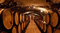 Champagne Region excursion from Paris with Private Driver