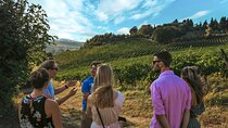 Guided Winery Tour and Wine Tasting in Siena