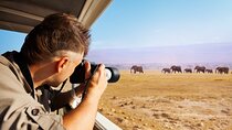 5 Days Tanzania Private Camping Safari Experience