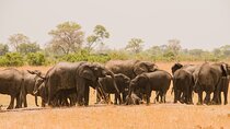 7 Day Tanzania Camping Safari Experience