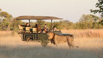 4 Days Victoria Falls & Hwange National Park Safari Combo