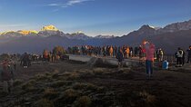 Ghorepani Poonhill Private Trek - 2 nights / 3 days