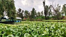 Xochimilco Day Trip Know a Farmland Food and Hop on a Trajinera