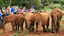Elephant Orphanage, Giraffe Centre& optional Nairobi NationalPark