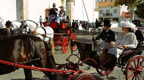 Private Half day Tour in Lusitanian Horses and Photography Museum