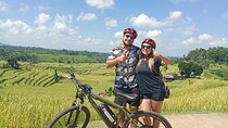 Electric bicycle tour in Jatiluwih UNESCO site