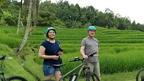 Jatiluwih full day e-bike cycling with lunch & trekking program
