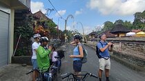 Electric bicycle tour in quaint South Ubud