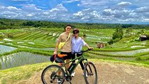 Jatiluwih in detail (1 h. e-bike tour in the rice terraces)
