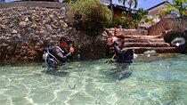 Cebu: Scuba Diving Experience beach entry in Mactan