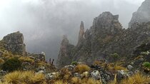 5 Days Mount Kenya Trek using Sirimon and Chogoria Routes