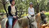 Horseback Safari & Cable Car Ride from Johannesburg 