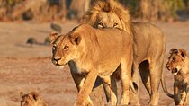 3 Days Masai Mara Private Tour