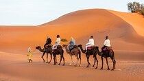 From Merzouga: 1 Night in the luxury camp. Camel ride and dinner