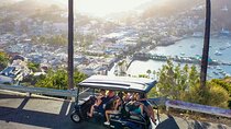 Catalina Island Private 2-Hour Tour of Avalon