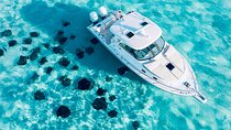 Cayman Private Luxury Charters - Stingray City, Snorkel, & More