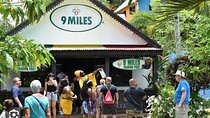 Private Bob Marley Nine Mile Tour from Montego Bay