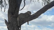 6 Days Private Tanzania Safari Tour