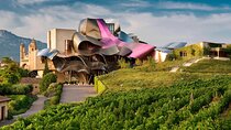 Visit Marques de Riscal & Boutique Winery from Bilbao