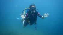 Pula PRIVATE Discover Scuba Diving