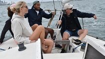 Learn to Sail in a Bonafide Racing Vessel in Biscayne Bay 