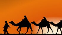 3 Days Desert Tour From Marrakech To Merzouga Dunes & Camel Trek