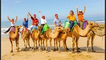 Authentic Private Tangier Tour from Estepona Camel Ride & Lunch