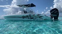 Stingray City Experience Plus Two Snorkeling spots Private Boat