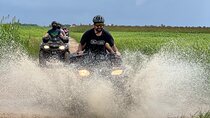 TOPRATED Best MIAMI ATVPark Admission ATV Rental Fee Not Included