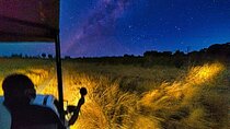 Private 2 Hour Bush Stargazing in Victoria Falls Area