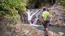 Kaura Waterfall Hike & Choose Optional Tour with Private Transfer