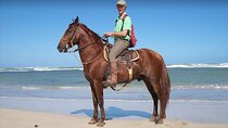 Horseback Riding Adventure Punta Cana