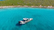 Half Day Private Cruise Mykonos to Delos and Rhenia 