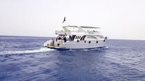 Marsa Mubarak Snorkeling Experience & Lunch :Marsa Alam