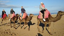 Camel Ride in Tangier