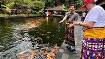 Ubud Monkey Forest Rice Terrace Temple Waterfall Private Tour