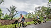 Kaura: Bike to Beach & Choose Optional Tour with Private Transfer