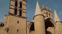 Private Historic Walking tour in Montpellier