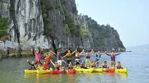 From Hanoi: Halong Bay Day Trip with Lunch and Transfers