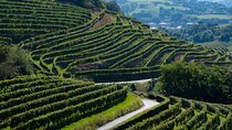Private Tour of San Sebastian and Getaria with Txakoli Tasting